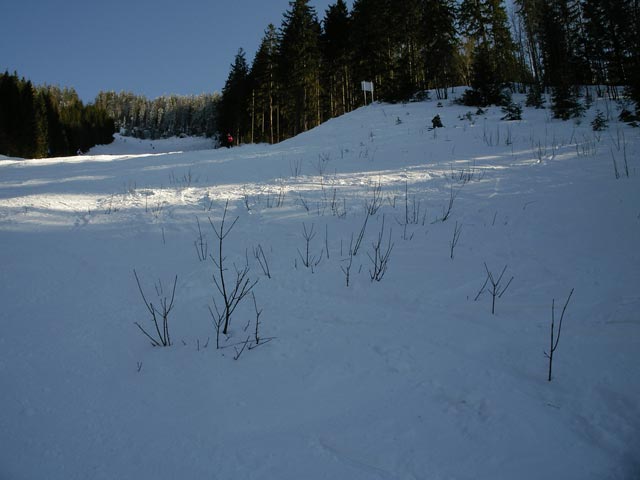 Große Ötscherpiste