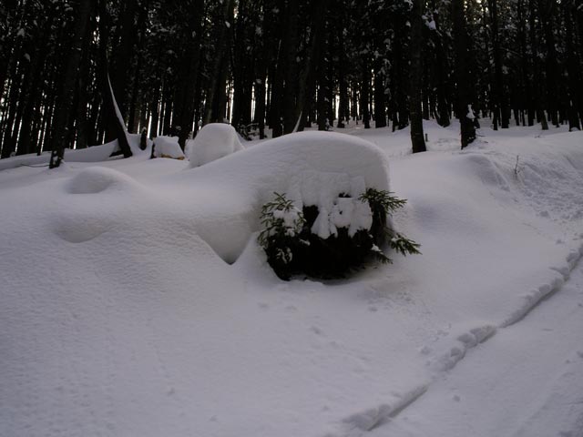 neben dem Hirschkogellift