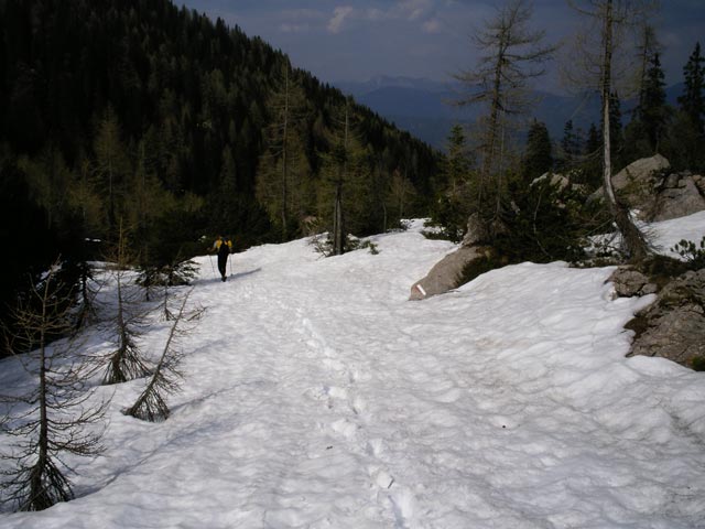 Andreas zwischen Uiberlacher Weg und Lahnhütte