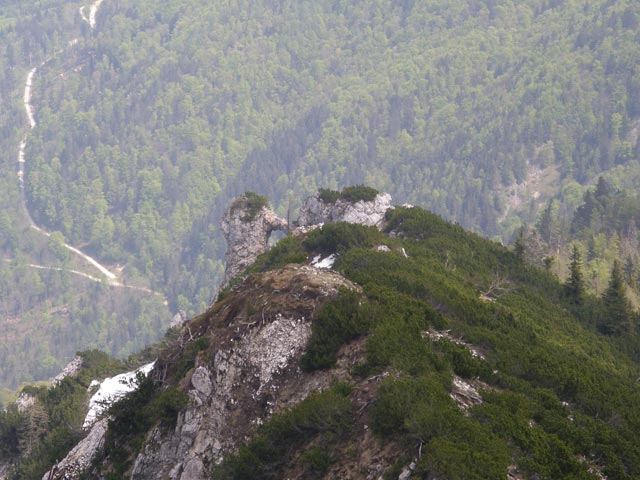 zwischen Laufenbergalm und Bergwerkskogel