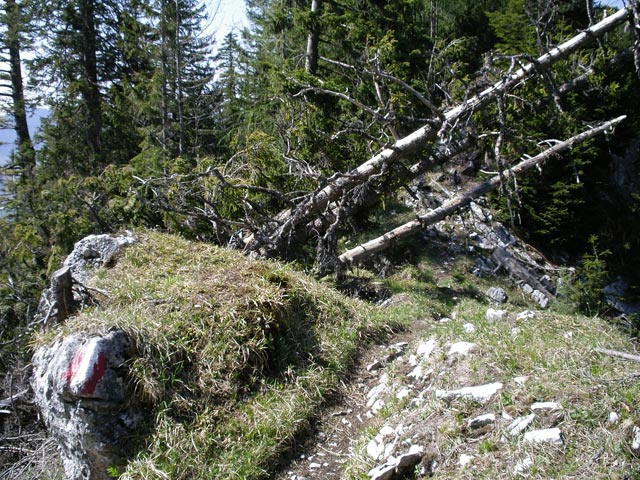 zwischen Rettenkogel und Sonntagkaralm