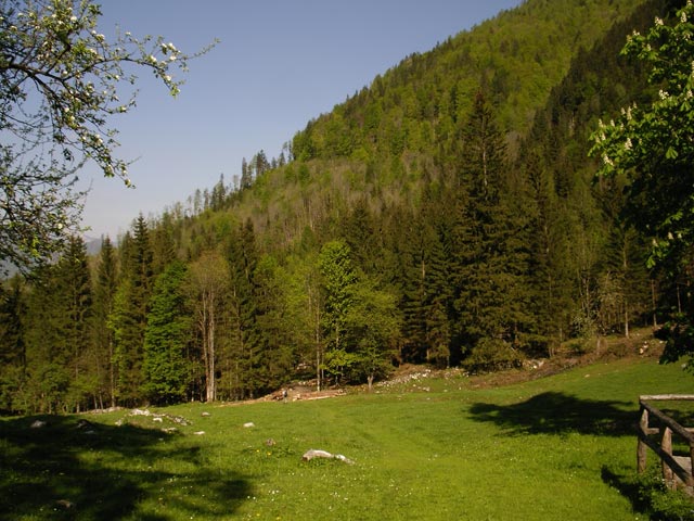 Obere Sch&ouml;ffaualm