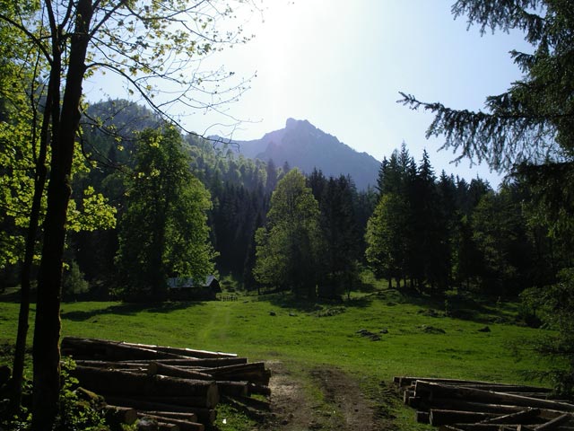 Obere Schöffaualm