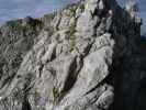 Wankspitze-Klettersteig: Axel in der Ausstiegswand