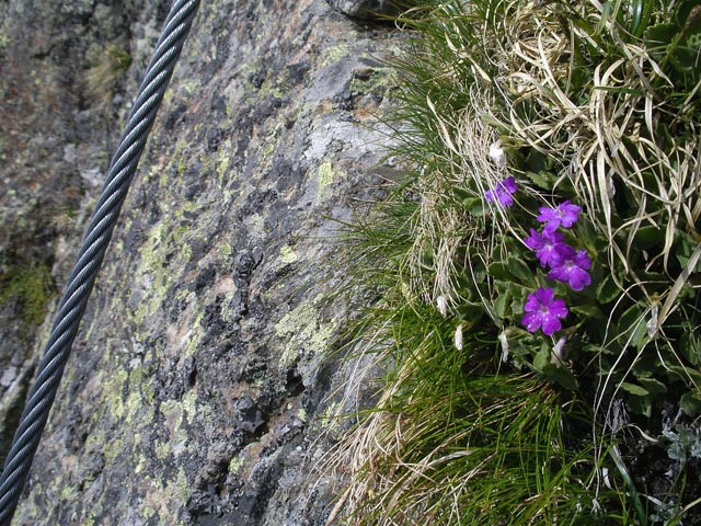 Klettersteig Nürnberger Hütte