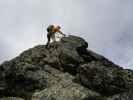 Klettersteig Nürnberger Hütte: Axel