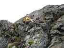 Klettersteig Nürnberger Hütte: Axel