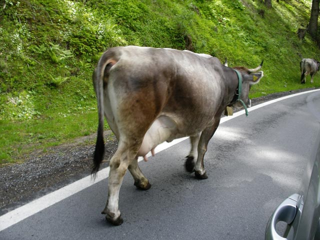 Pitztal (26. Mai)