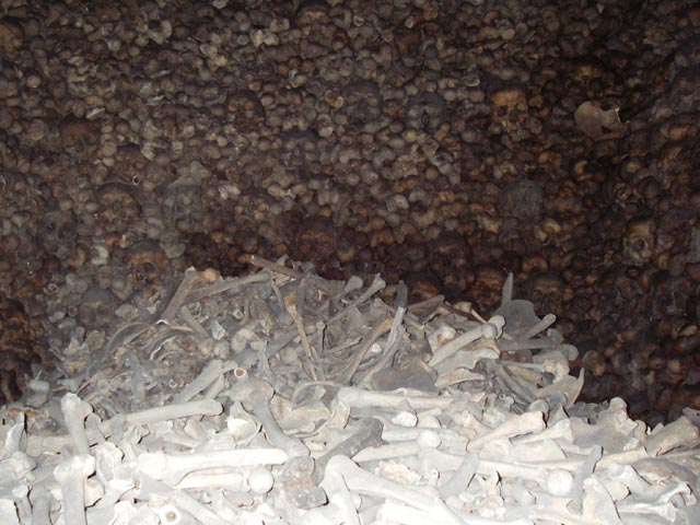 Katakomben der Domkirche St. Stephan