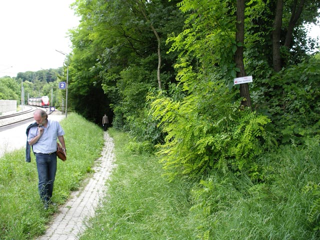 Herbert in der Haltestelle Unter Tullnerbach