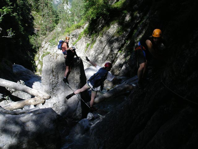 &Ouml;TK-Klettersteig: Erich, Norbert, Daniela und Theresa bei der vierten Br&uuml;cke (7. Juli)