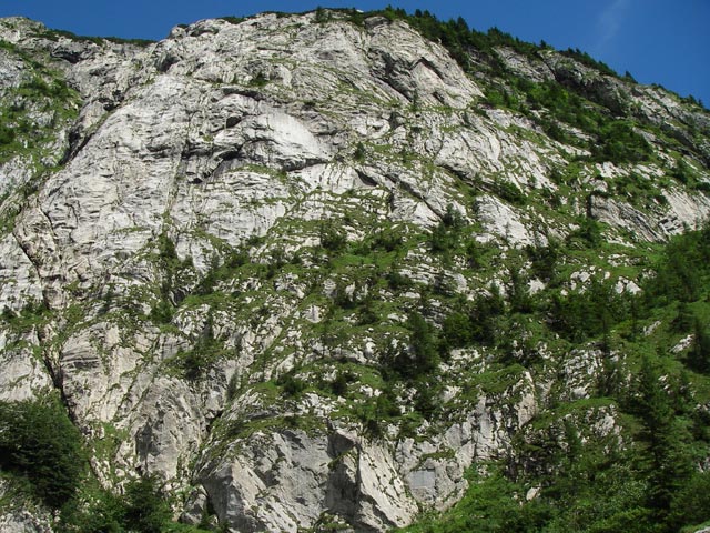 Kleiner Pal vom Pl&ouml;ckenpa&szlig; aus (10. Juli)