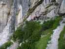 Via Ferrata Michielli Albino Strobel: Irmgard, Doris und Daniela am Zustieg (11. Juli)