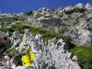 Zellinköpfe-Klettersteig: Daniela bei der Abzweigung (13. Juli)