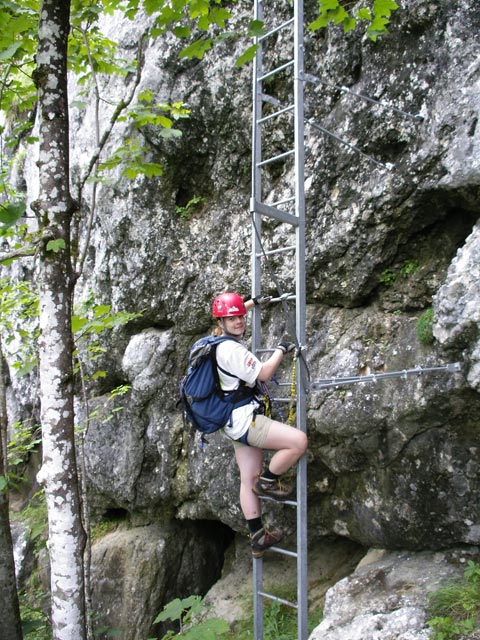 Daniela auf der Leiter