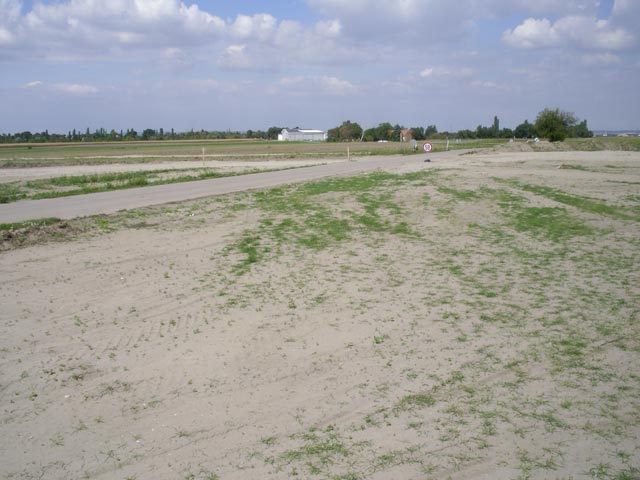 Feld gegen Breitenlee