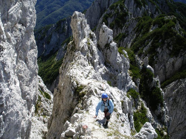 Irene zwischen Forc. delle Cenge und Hochstelle