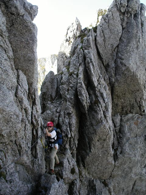 Feistringstein-Klettersteig: Daniela