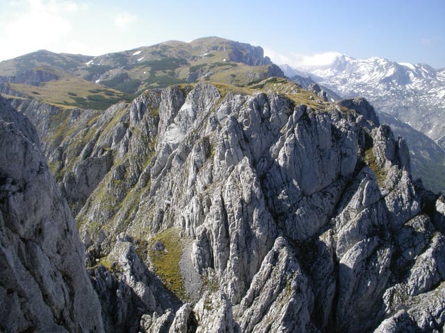 Feistringstein-Klettersteig: Daniela im Ausstieg