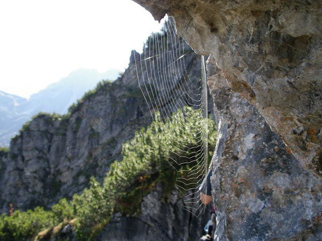 Kanzelwand-Klettersteig