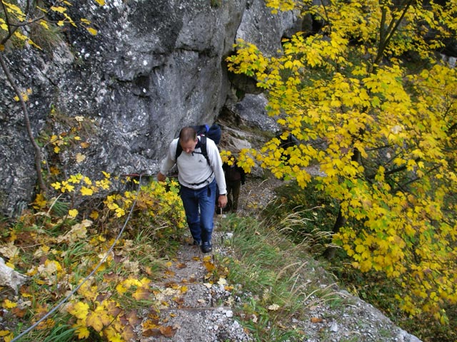 Hans zwischen Kaiserbrunn und Knofeleben