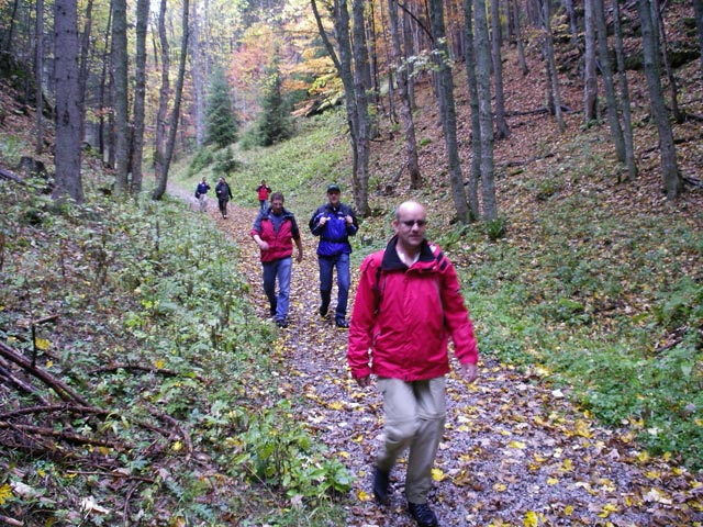 Peter, Anton, Michaela, Andreas, Hans und Günter auf Weg im Mitterberggraben