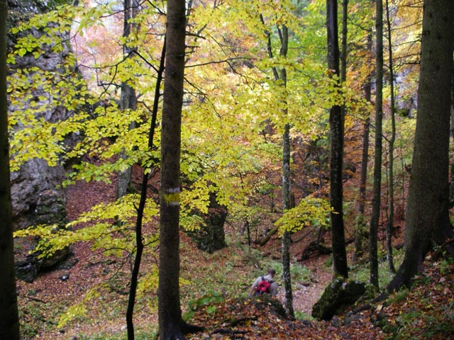 Mitterberggraben