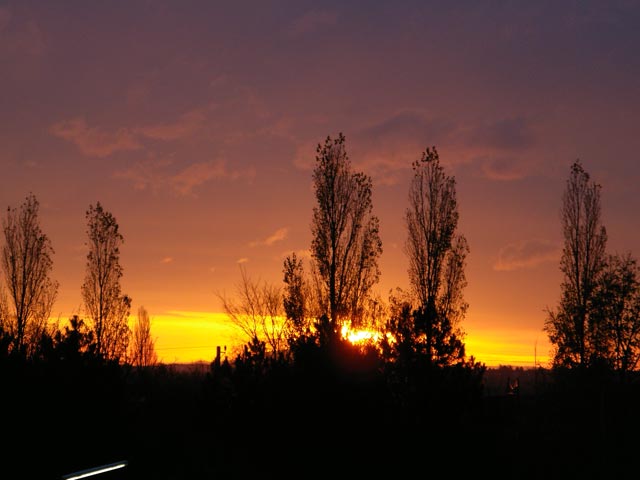 Sonnenaufgang von Süßenbrunn aus (11. Nov)