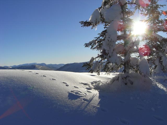 bei der Bergstation des 4er Sessellifts Hennesteck