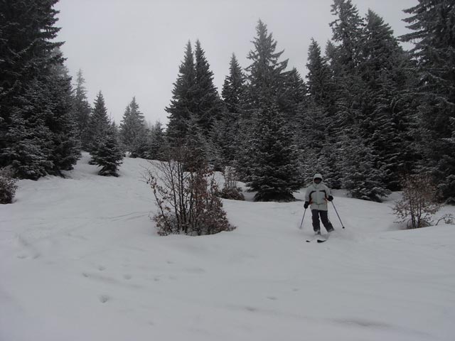 Daniela neben dem H&uuml;ttenhang (31. Dez.)