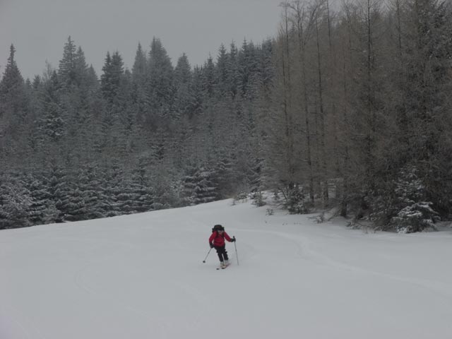 Irene auf der Karnerboden-Abfahrt (1. J&auml;n.)