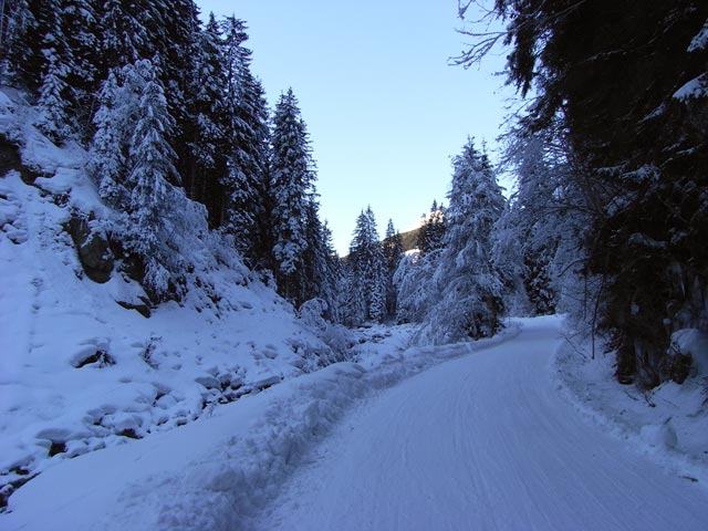 Pengelstein Südabfahrt (11. Feb.)