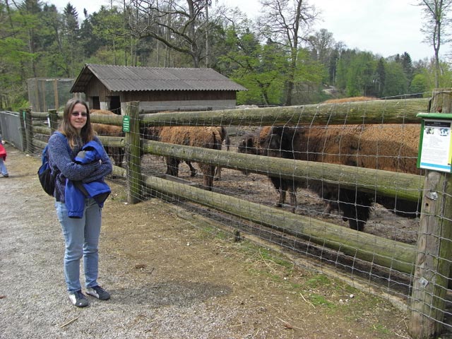 Daniela bei den Bisons im Tierpark