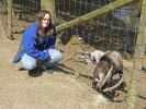 Daniela bei den Bezoarziegen im Tierpark