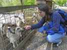 Daniela bei den Zwergziegen im Tierpark