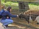 Daniela bei den Zwergziegen im Tierpark