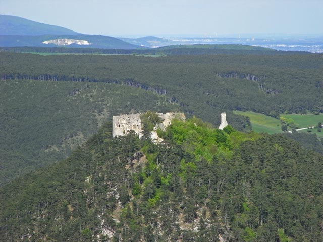Ruine Starhemberg