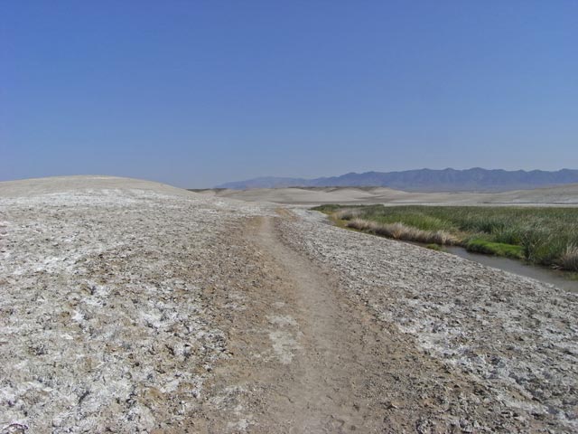 bei Tecopa Hot Springs (4. Mai)