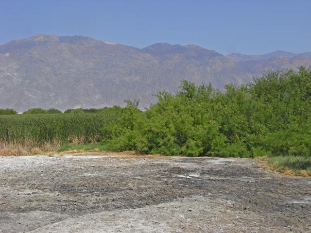 Eagle Borax Spring im Death Valley National Park (4. Mai)