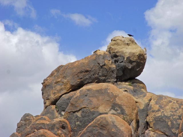 Alabama Hills (5. Mai)