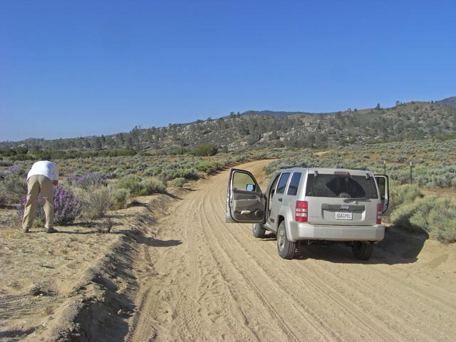 Papa auf der Jawbone Canyon Road im Kelso Valley (6. Mai)