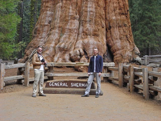 Papa und ich beim General Sherman Tree im Sequoia National Park (7. Mai)