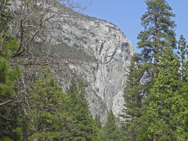 Kings Canyon (7. Mai)