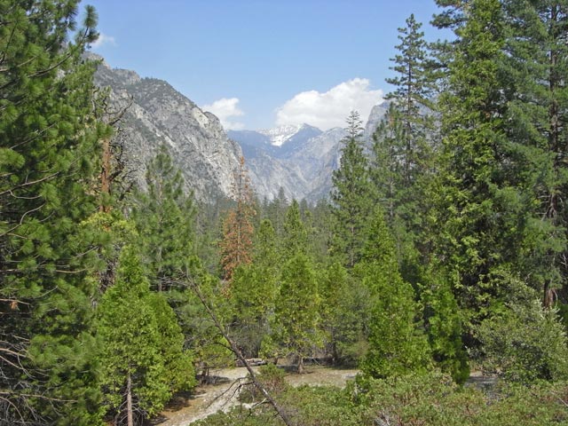 Kings Canyon (7. Mai)