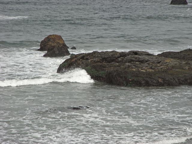 Pazifikküste in der San Simeon Bay (8. Mai)