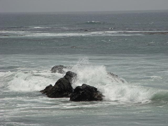 Pazifikküste zwischen Point San Simeon und Point Piedras Blancas (8. Mai)