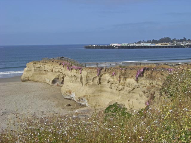 Pazifikküste bei Santa Cruz (9. Mai)