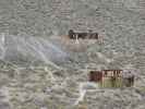 Leadfield im Death Valley National Park (5. Mai)