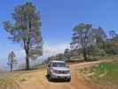 Saddle Springs Road im Sequoia National Forest (6. Mai)