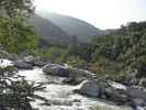 Kaweah River im Sequoia National Park (7. Mai)